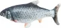 Preview: Zappelfisch